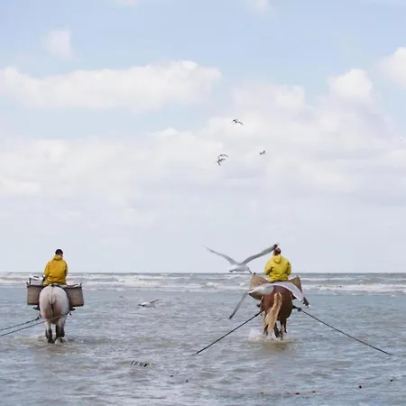 In Near The Coast, Cleaning Included Апартаменты
