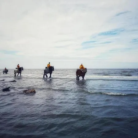 Апартаменты In Near The Coast, Cleaning Included Остдёйнкерке