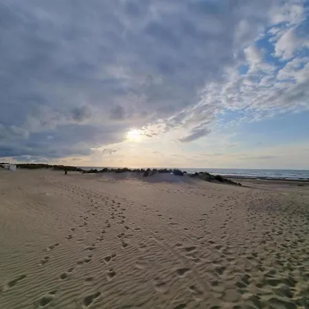 In Near The Coast, Cleaning Included