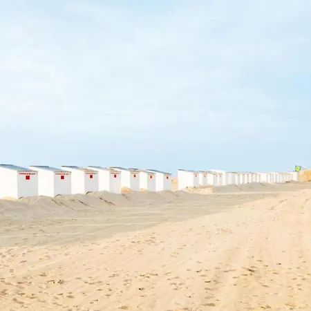 In Near The Coast, Cleaning Included